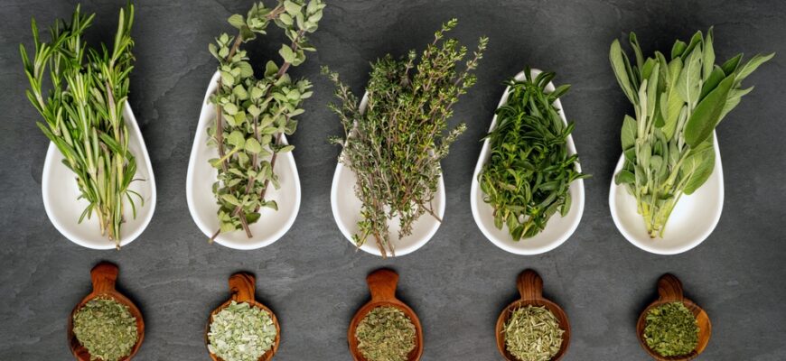 Five,Different,Fresh,Organic,Herbs,In,Porcelain,Bowls,And,Dried