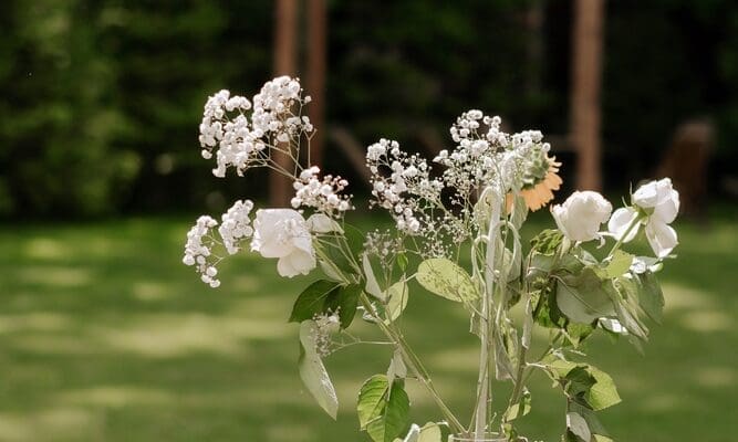 Decoration,For,An,Outdoor,Dining,Table,Next,To,The,Forest.
